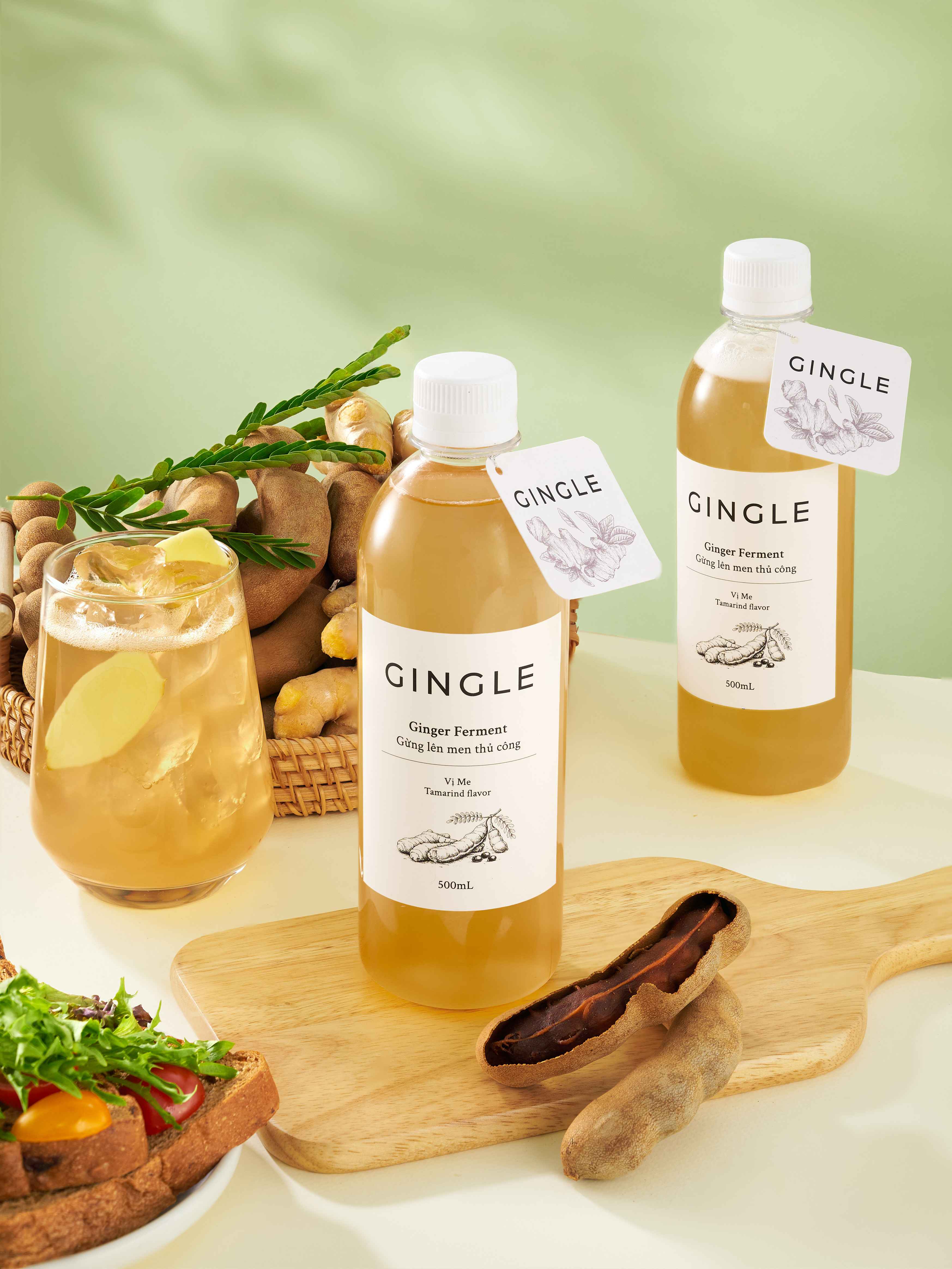 GINGLE T4 — Shot 2