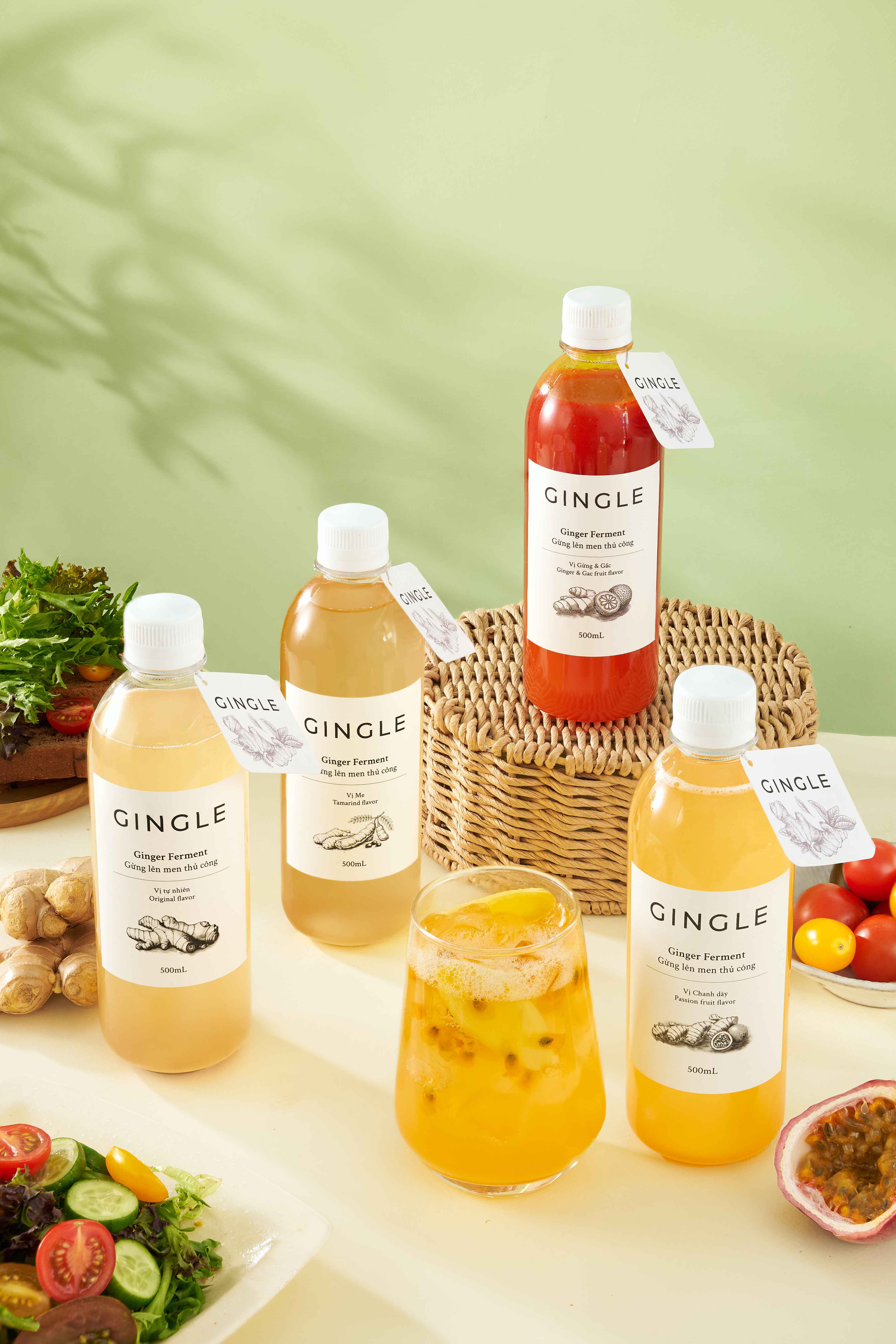 GINGLE T4 — Shot 5